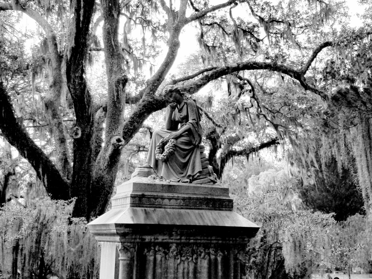 Grief has no logic. That is what I have determined through this journey.